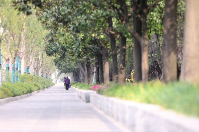说明: IMG_256