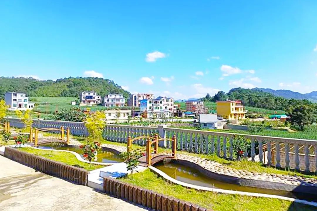 640.jpg