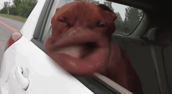 640.gif