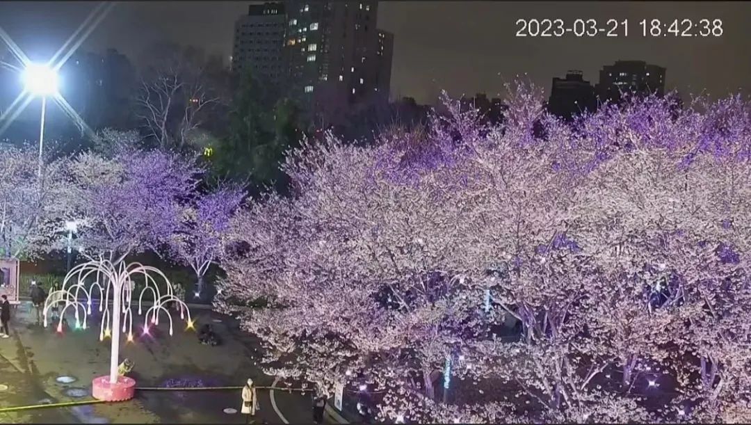 640.jpg