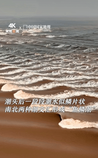 640.gif