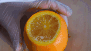 640.gif