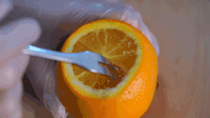 640.gif