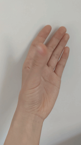 640.gif