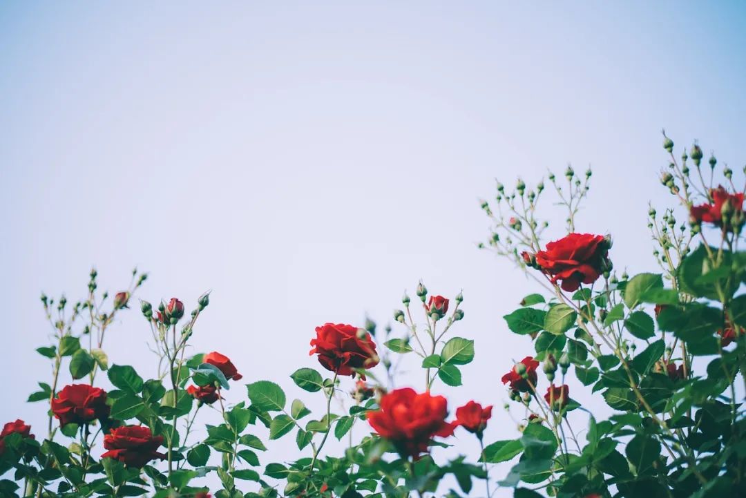 640.jpg
