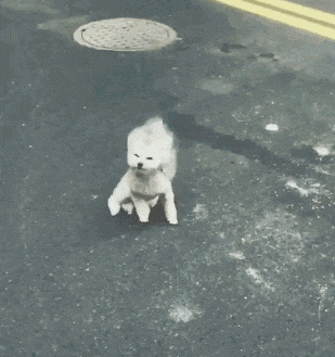 640.gif