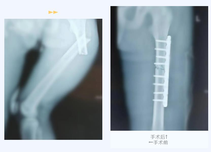 360截图20221020080721151.jpg