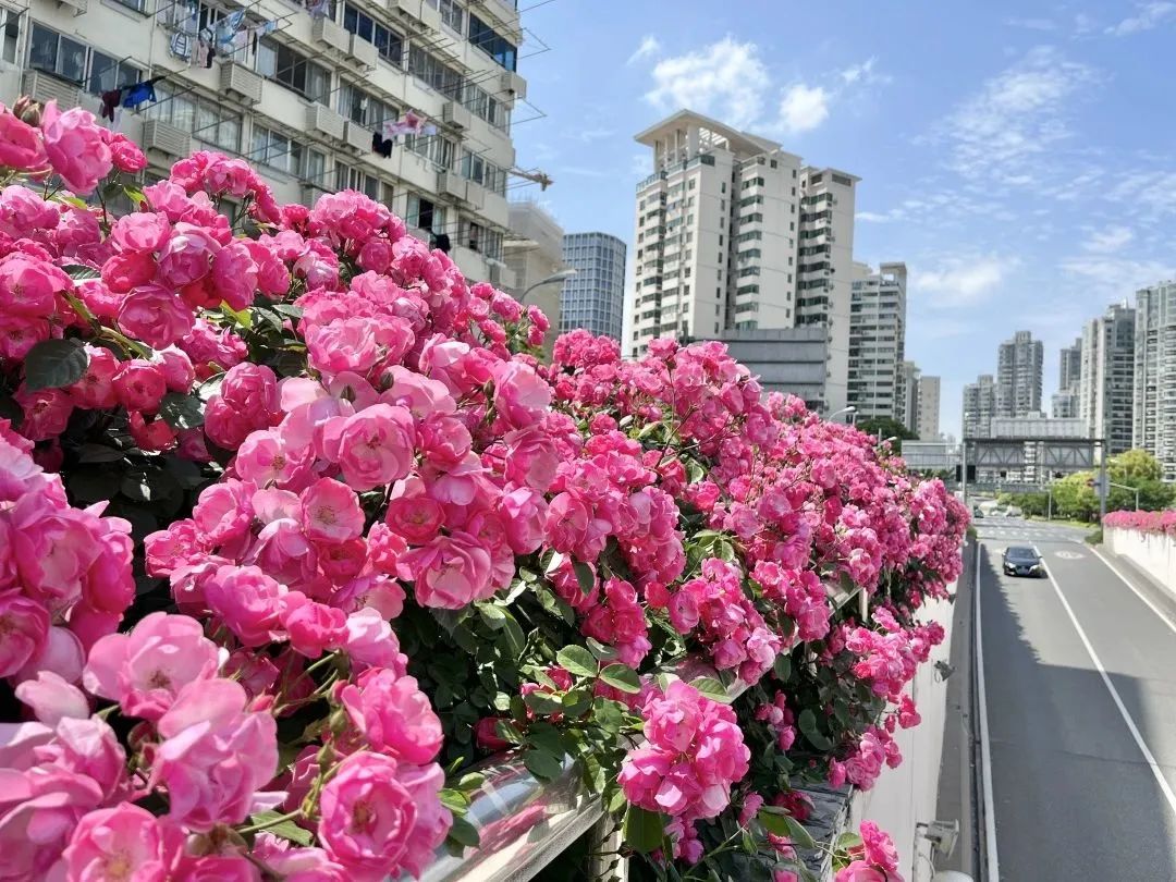 640.jpg
