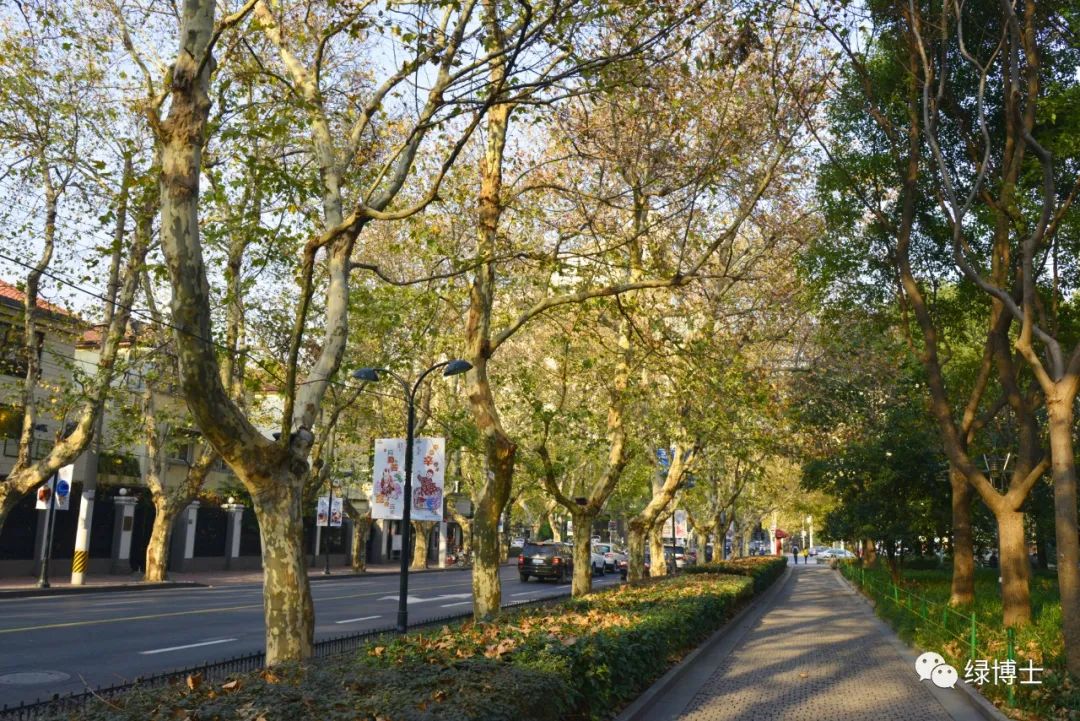 640.jpg