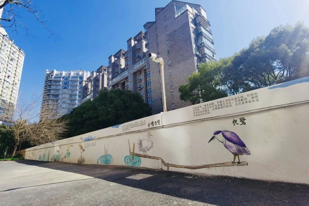 640.jpg