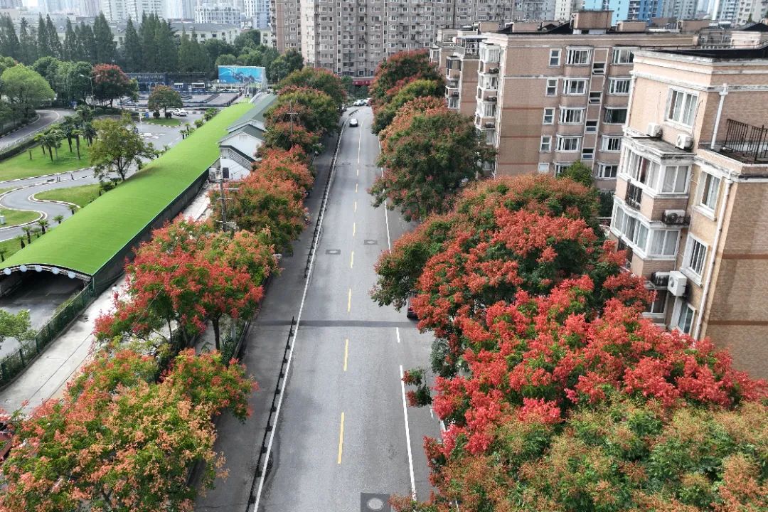 640.jpg