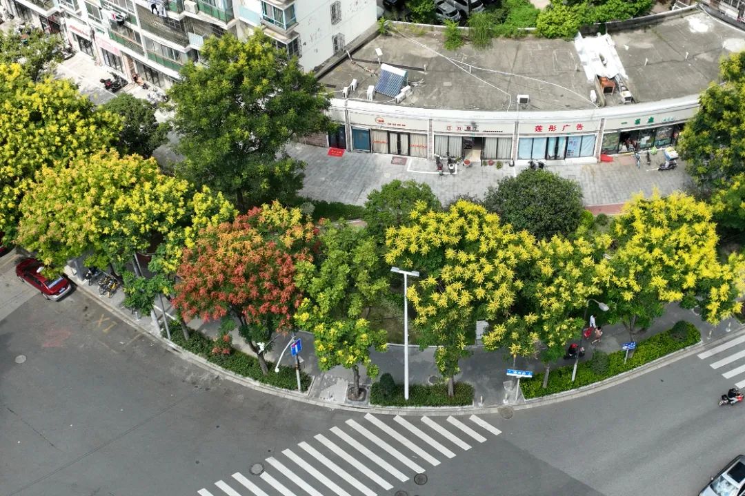 640.jpg