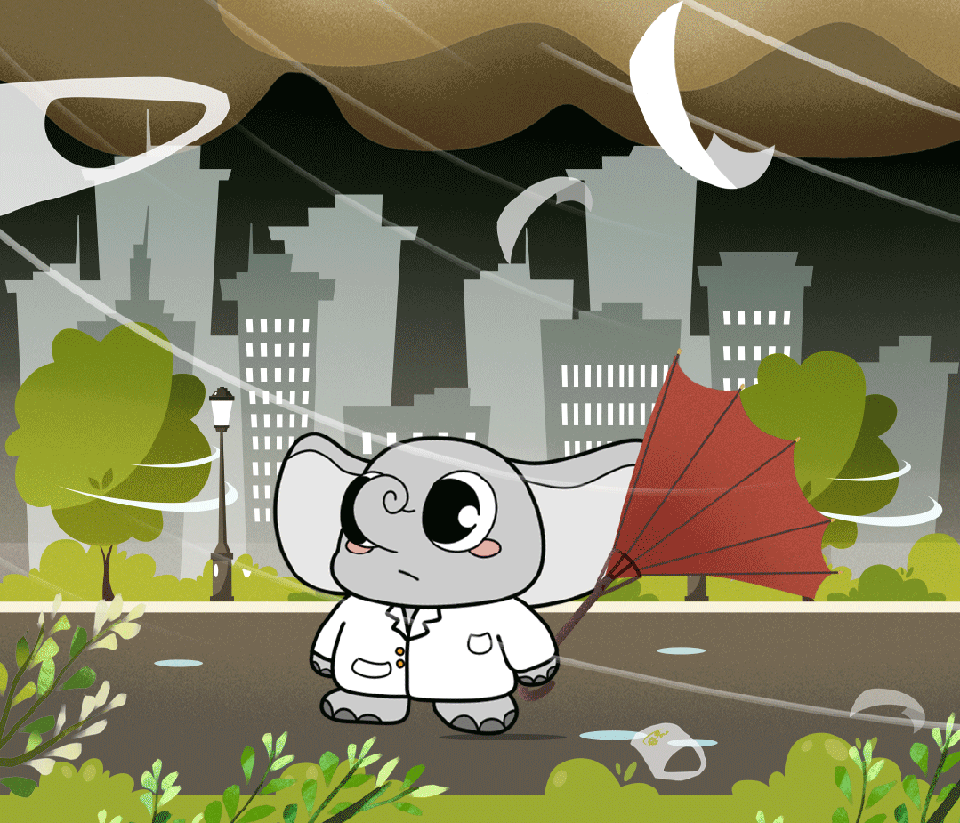 640.gif