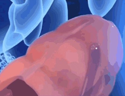 640.gif