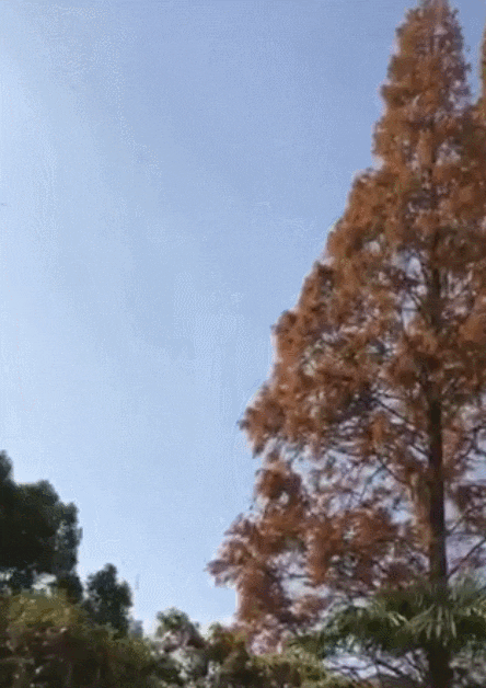 640.gif