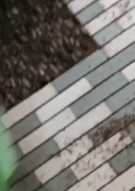 640.gif