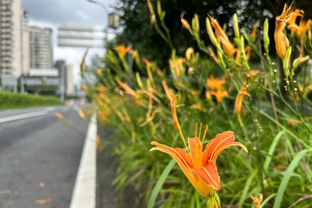 640.jpg