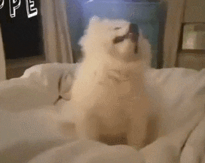 640.gif