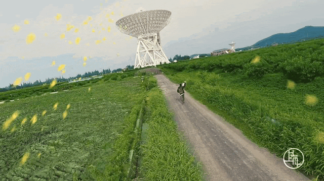 640.gif
