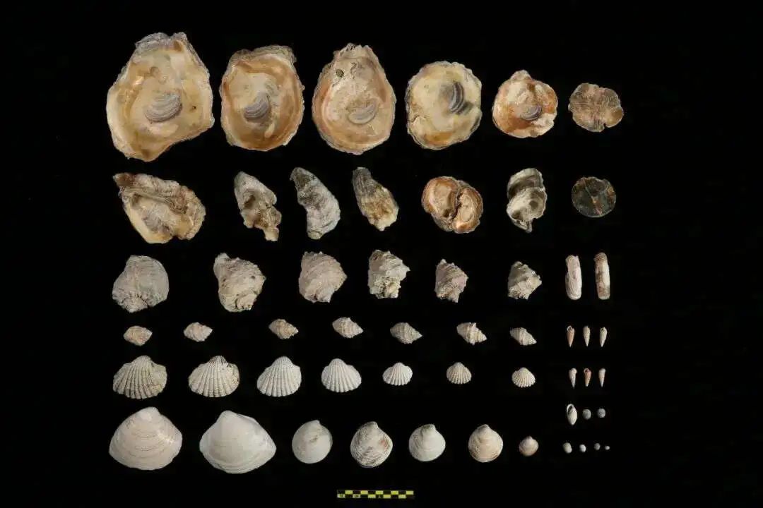 640.jpg