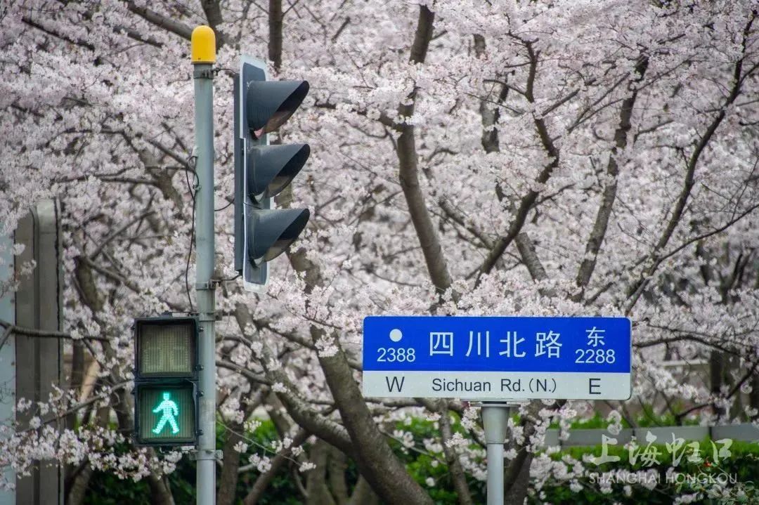 640.jpg