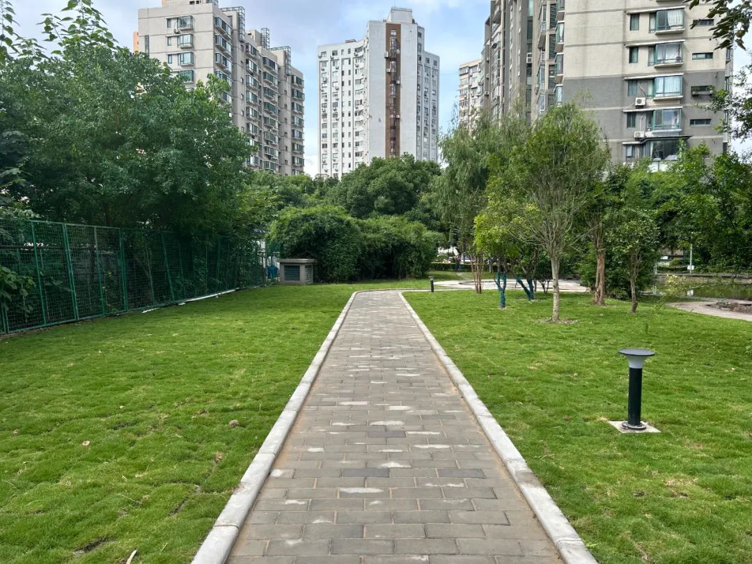 640.jpg