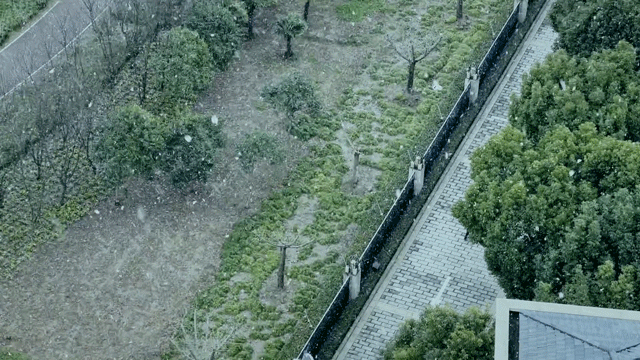 640.gif