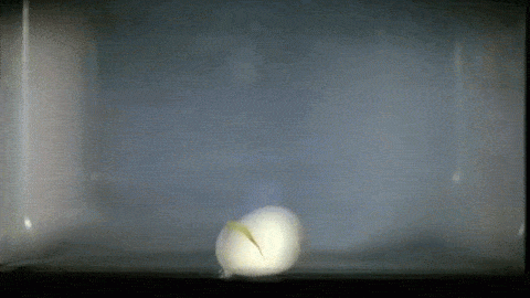 640.gif