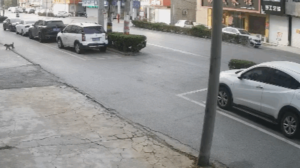 640.gif