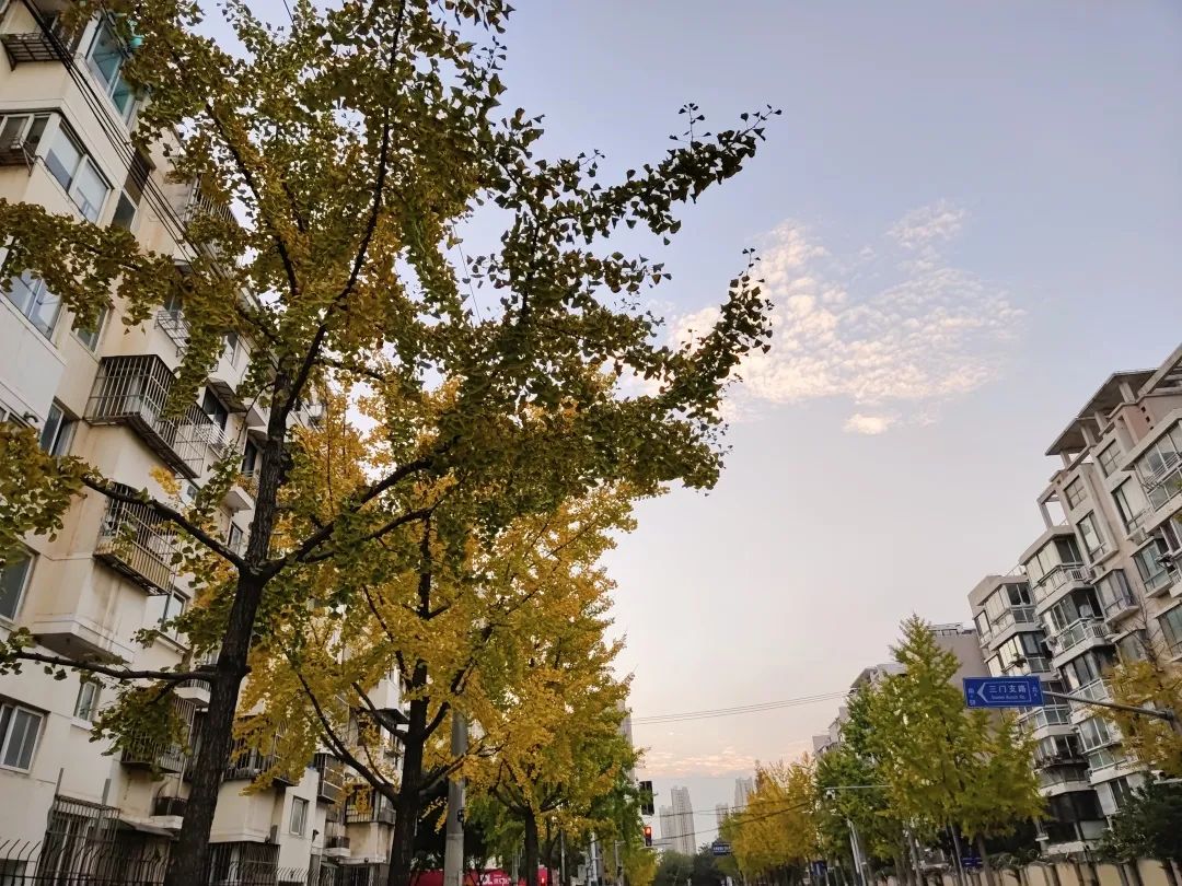 640.jpg