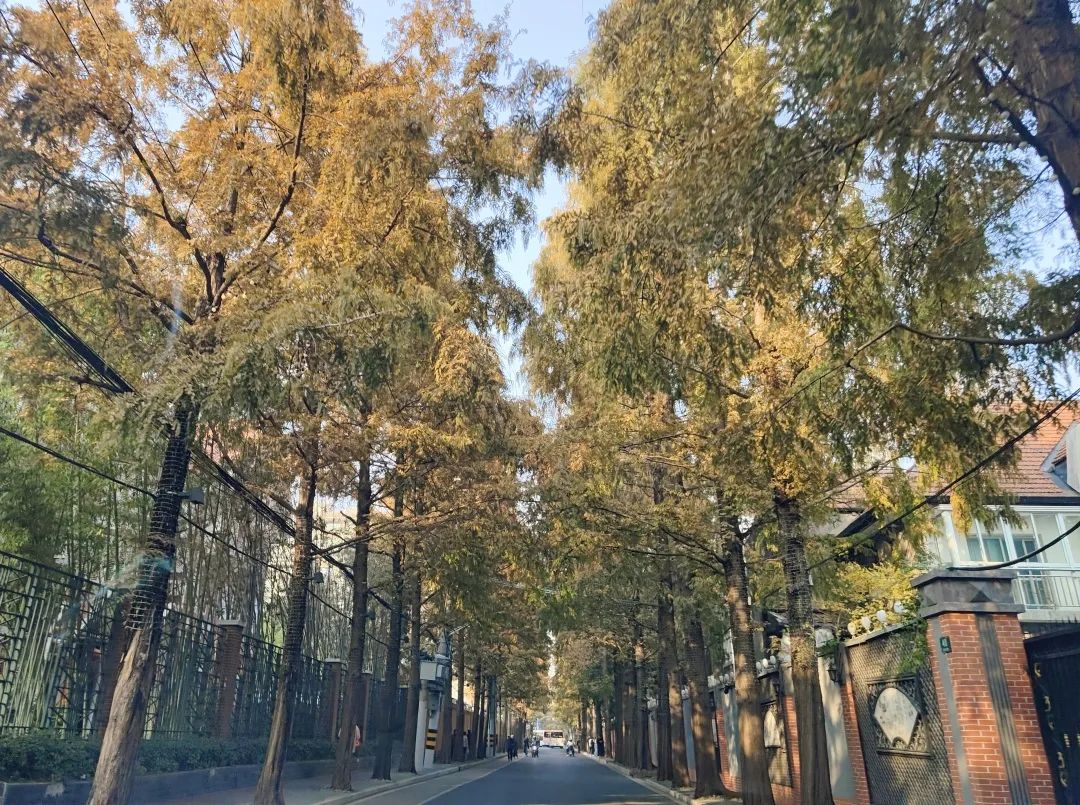 640.jpg