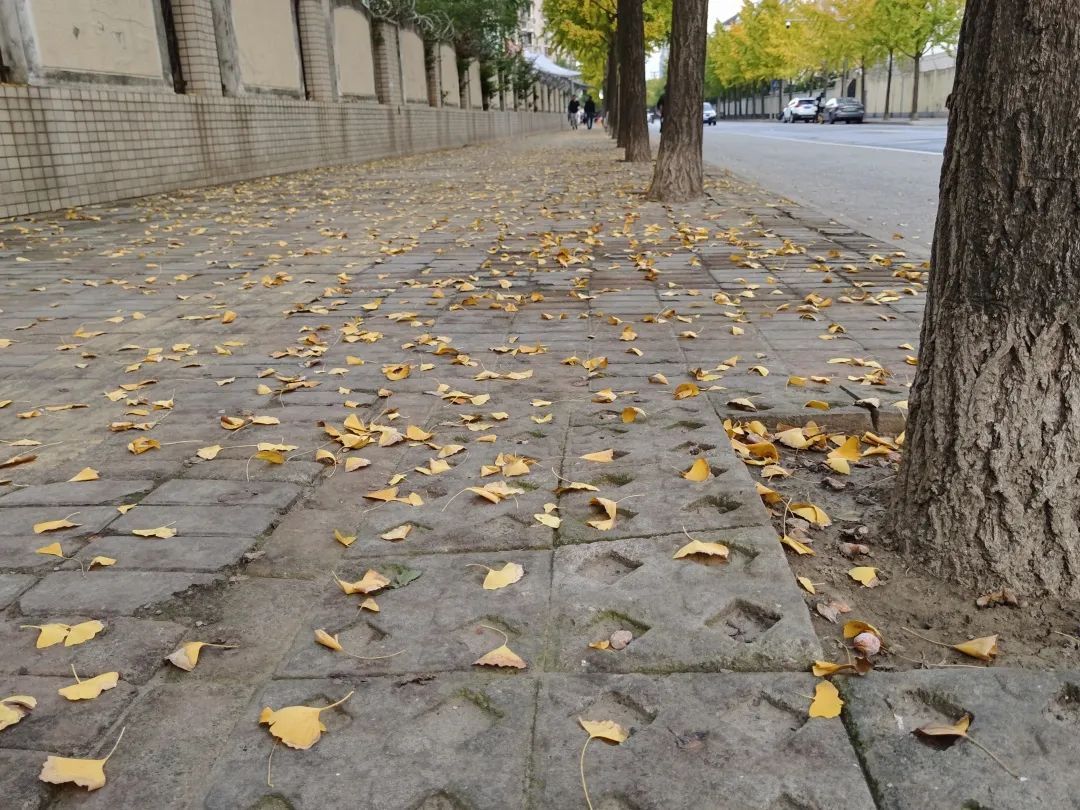 640.jpg