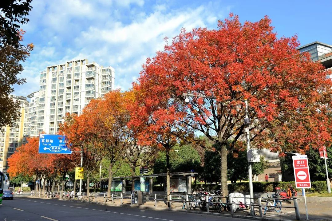 640.jpg