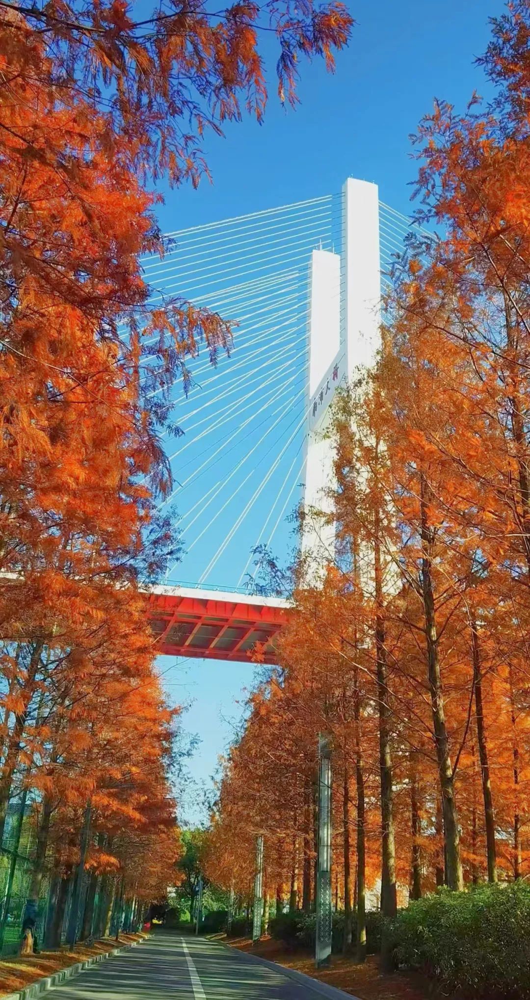 640.jpg
