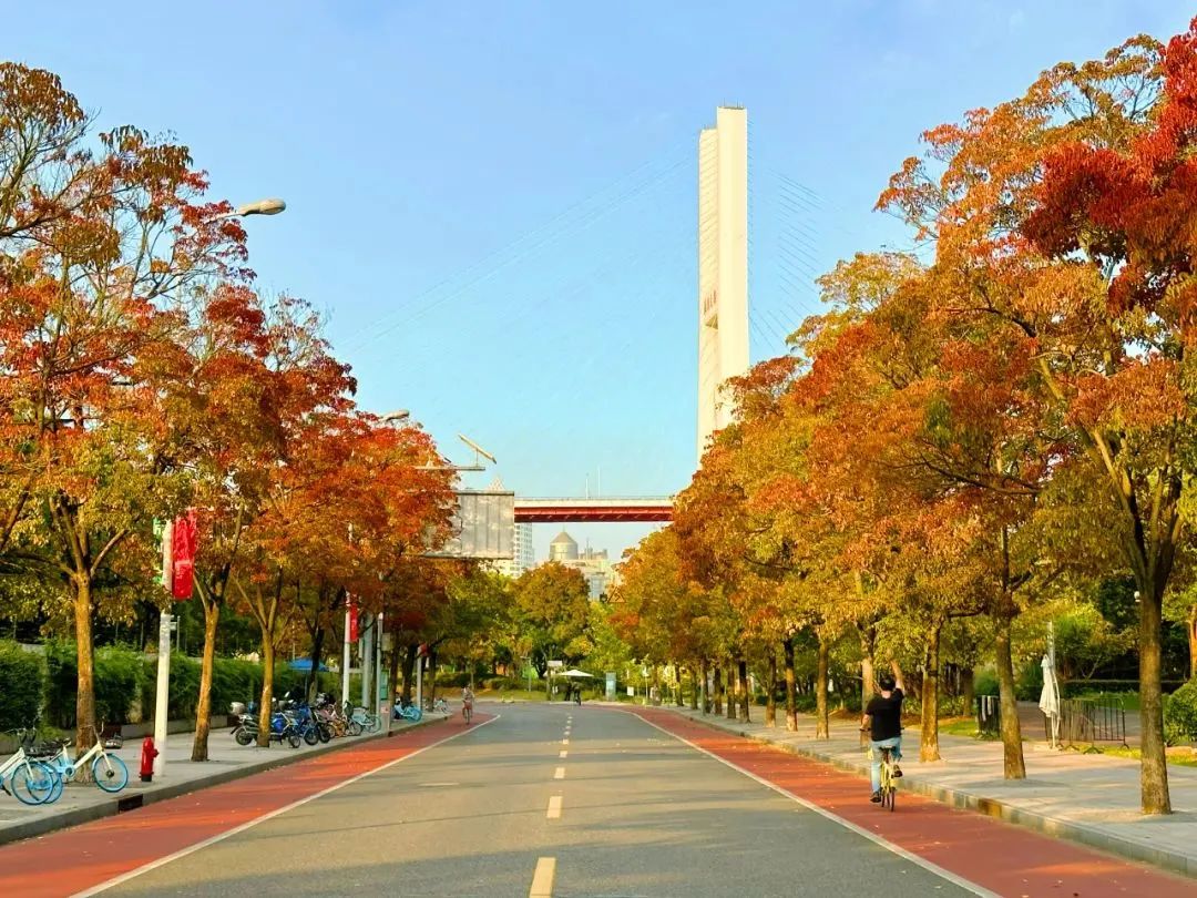 640.jpg