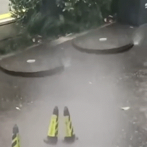 20230904134258075074.gif 640.gif