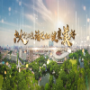 巩固创卫成果共建美好虹口