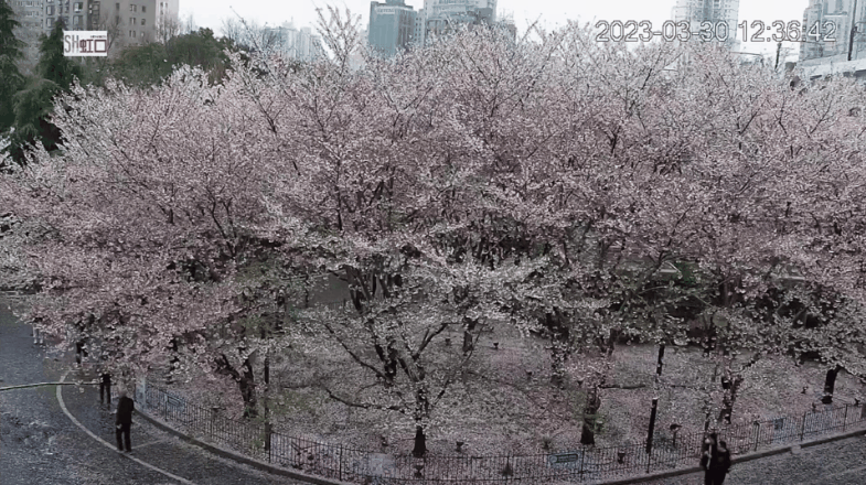 640.gif