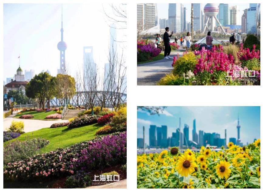 360截图20221101141009804.jpg