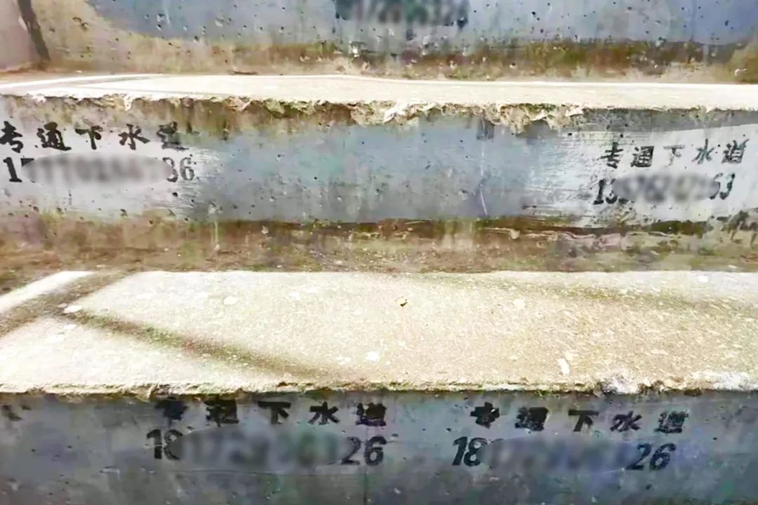 640.jpg