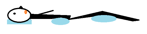 640.png