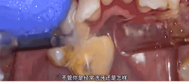640.gif
