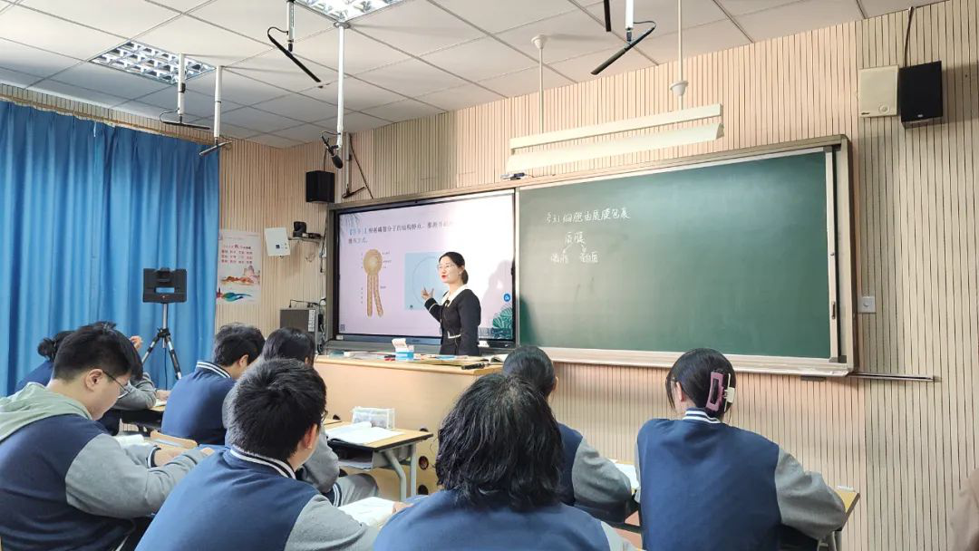 图片15.png