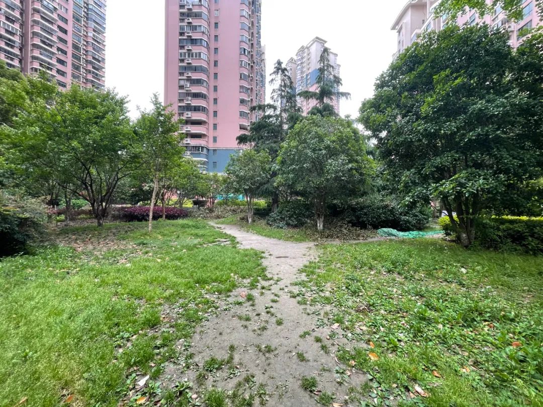 640.jpg