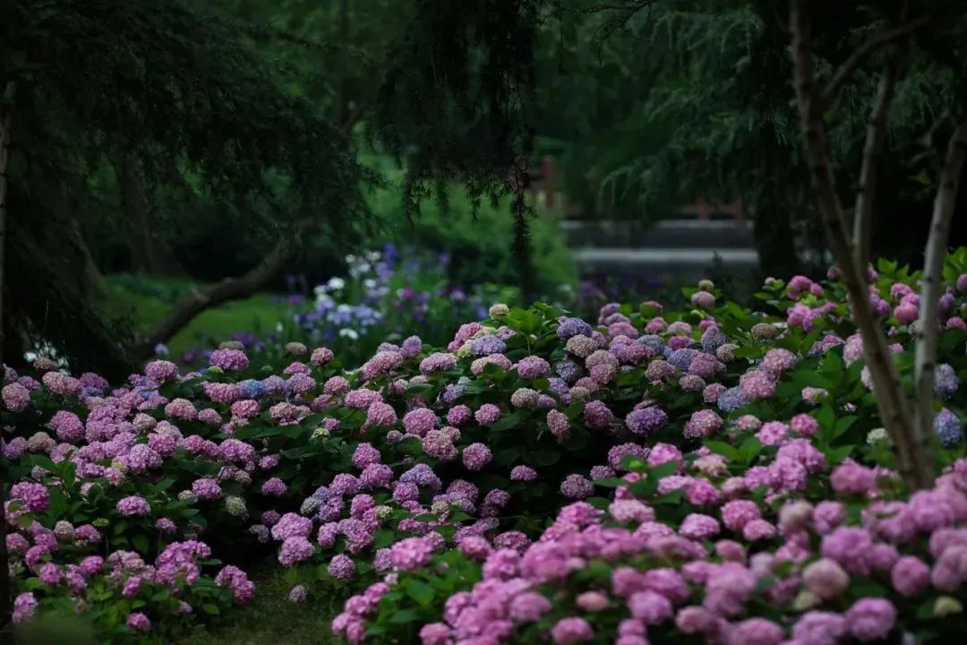 640.jpg
